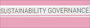 Sustentabilidade: a nossa governança corporativa