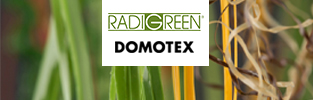 RADIGREEN® 在Domotex: 高性能和可定制性