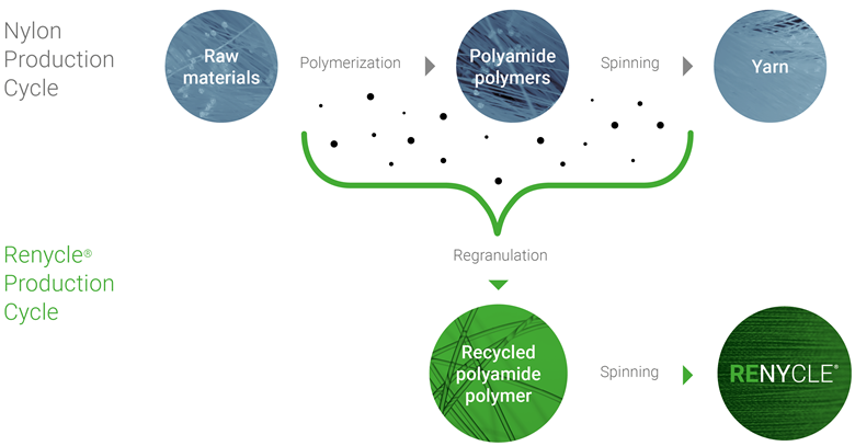 Renycle